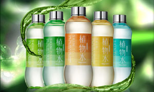 雅丽洁化妆品