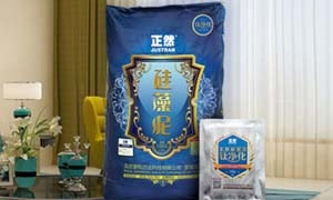 正然硅藻泥