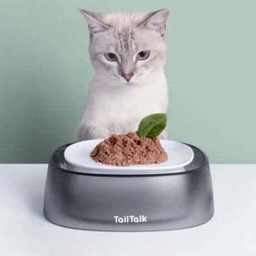 TailTalk麻球说