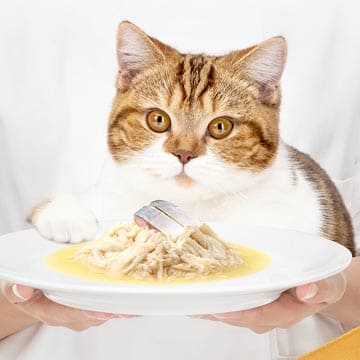 CATIDEA猫乐适猫粮