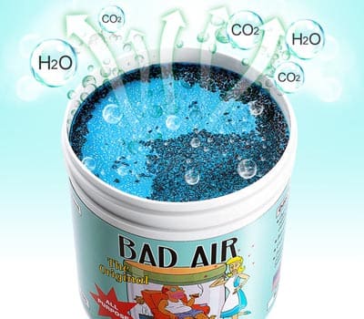 Bad Air Sponge空气净化剂