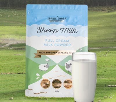 Spring Sheep绵羊奶粉