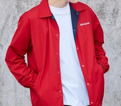 DICKIES帝客