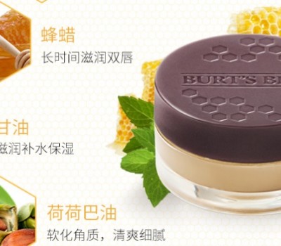 伯特小蜜蜂