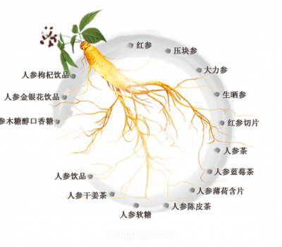 益盛药业