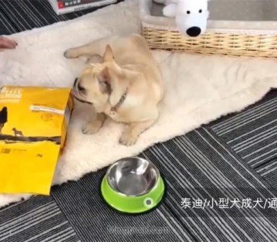 初花宠物食品