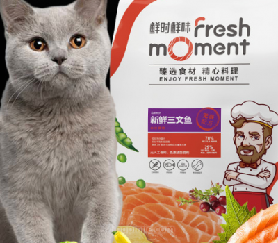 PETDOD派多格宠物食品