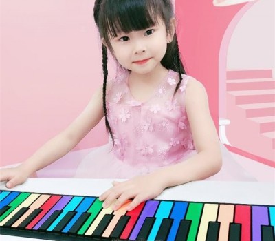 华芯康电子琴