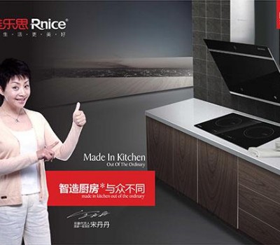 Rnice雅乐思电器