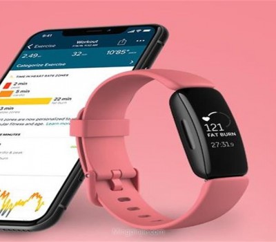 Fitbit乐活手表