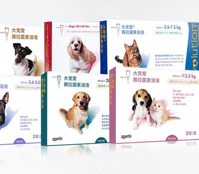 大宠爱驱虫