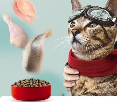 FLYZOO野心猫粮