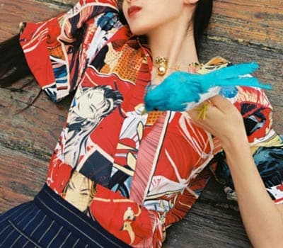 密扇女装