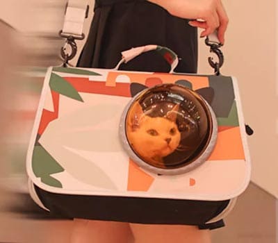PETALENT派泰乐宠物用品