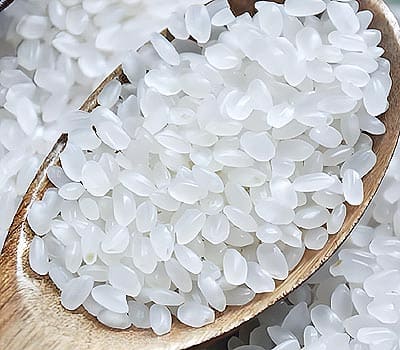 雨森大米
