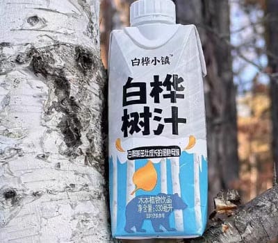 白桦小镇白桦树汁