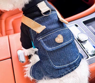 PETCIRCLE宠物衣服