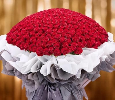 ROSEONLY诺誓永生花